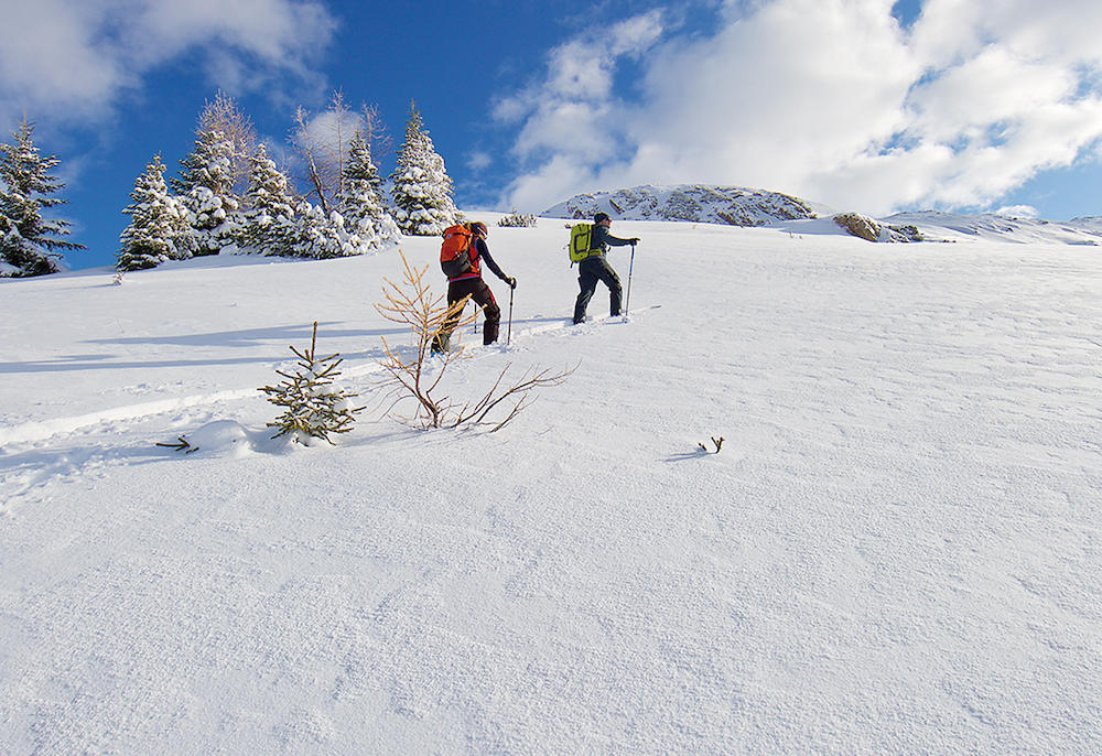 Skitour zum Hahnleskopf – 2.210 Meter